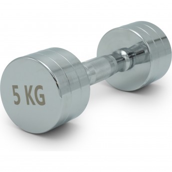 Гантель UNIX FIT PRO круглая хромированная 5 кг Гантель UNIX FIT PRO круглая хромированная 5 кг