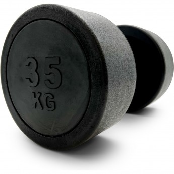 Гантель UNIX FIT PRO круглая обрезиненная 35 кг